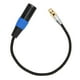 thumbnail image 4 of Cable XLR Macho A Mini XLR Hembra, Adaptador De Cable XLR Profesional De 3 Pines Para Cámara, Mezclador, Micrófono Y Grabadora, 4 of 7