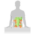 thumbnail image 4 of Sunny Toys NP8204 12 In. Frog - Tree, Animal Puppet, 4 of 4
