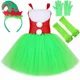 thumbnail image 3 of Disfraz de Grinch para niños, conjunto de vestido tutú de Papá Noel de Navidad, disfraces de monstruo peludo verde para niñas pequeñas, ropa de fiesta de Navidad de Halloween, 3 of 5