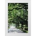 thumbnail image 3 of Alan Hausenflock 13x18 White Modern Wood Framed Wall Art Titled - Savannah Sidewalk I, 3 of 5