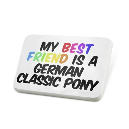 Porcelein Pin My best Friend a German Classic Pony Shetland pony, Horse Lapel Badge –