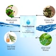thumbnail image 3 of TearRestore HylaWipe Eyelid Wipes for Dry, Red, Itchy Eyes. Hypoallergenic Natural Tea Tree Cleanser, 30 Count, 3 of 10