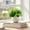 Green, variant on Clearance Artificial flowers under $1,Artificial Potted Plants Plastic Greenery In Pots Small Topiary Shrubs For Centerpiece Desk Room House Decor Decoration