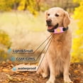 thumbnail image 4 of TIMIFIS Fournitures pour Chats et Chiens, Moniteur d'Activité GPS avec Portée Illimitée, Automne/hiver, 4 of 6