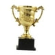 thumbnail image 5 of Premio Trofeo Estatua Pequeños Trofeos Trofeo Copa Decoración Trofeo 14cm Zulema Trofeo de premios, 5 of 8