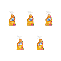 Lysol Mango & Hibiscus 5 pack bottles ( 22floz x 5 )