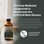 Triquetra Health MycoMax Lions Mane Extract - 70% Beta Glucans