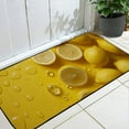 thumbnail image 2 of GOSMITH Felt Square Floor Mat - Anti-Slip Indoor/Outdoor/Bathroom Mat 19.68*47.24 in, 2 of 6
