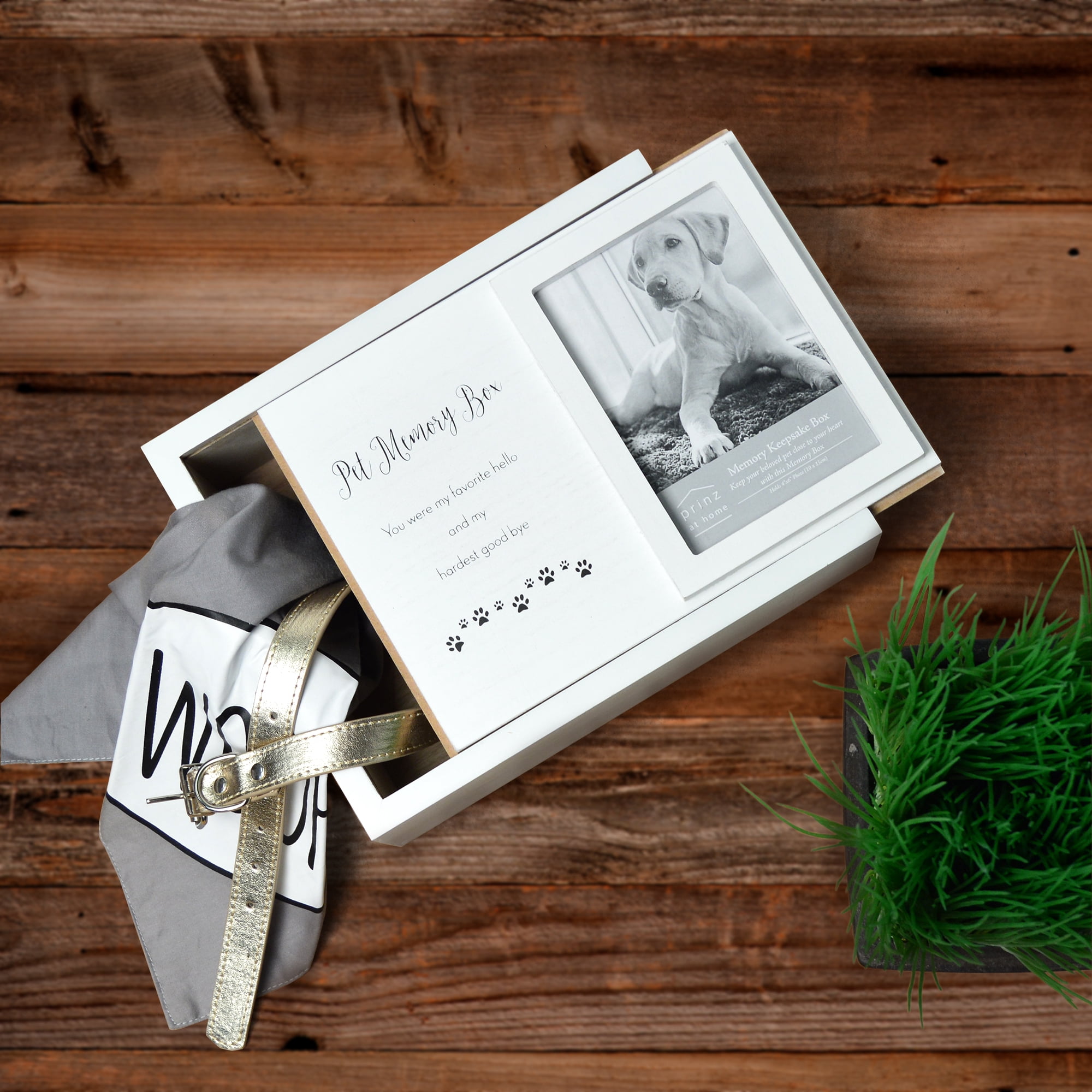 Prinz Decorative Pet Memory Keepsake Box for Dogs & Cats, 4x6