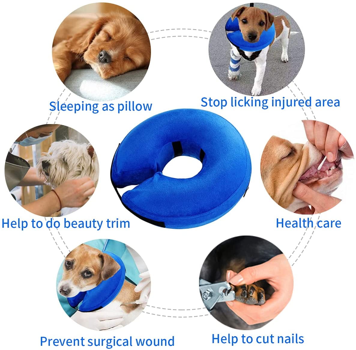 Can Dogs Sleep With Collars On