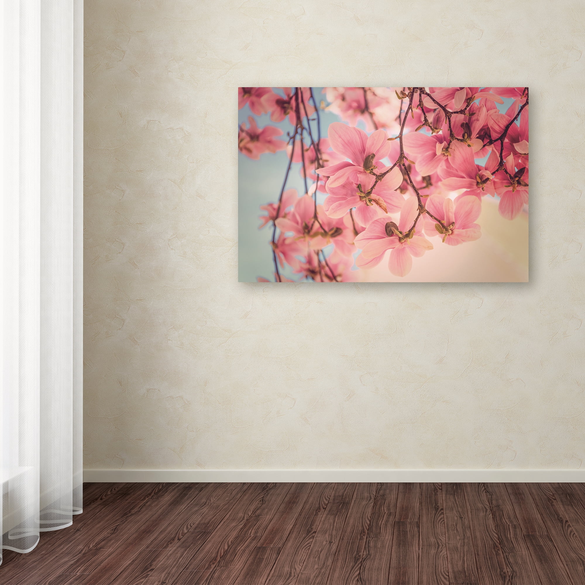 Trademark Fine Art 'Rise and Shine' Canvas Art by Philippe Sainte-Laudy