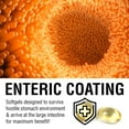 thumbnail image 5 of Solaray Peppermint Oil Enteric Coated w/ Rosemary & Thyme Oil | Healthy, Soothing Digestion Support | 60 Softgels, 5 of 6