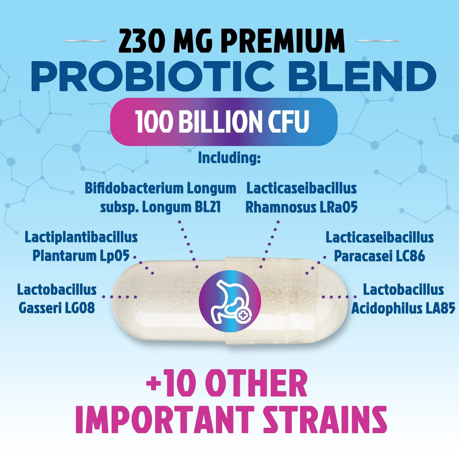 Probiotics for Digestive Gut Health - 100 Billion CFU Per Capsule, 16 Premium Strains & Prebiotics - Best Probiotics for Women & Men, Occasional Constipation, Gas, Immune Health Support - 60 Capsules