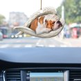 thumbnail image 3 of Car Angel Puppy Sleeping Car Trailer dentro del espejo retrovisor Penda decorativa Wmkox8yii fhajkh782, 3 of 6