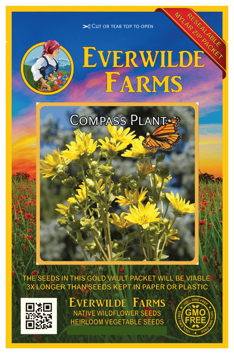 Everwilde Farms 20 Compass Plant Native Wildflower Seeds Gold Vault