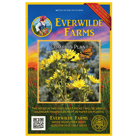 Everwilde Farms - 20 Compass Plant Native Wildflower Seeds - Gold Vault Jumbo Bulk Seed (Best Time To Plant Wildflower Seeds)