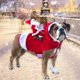 thumbnail image 4 of Papá Noel montando traje de mascota Navidad divertido cálido cachorro ropa perro ciervo chaqueta Tmvgtek Para estrenar, 4 of 8