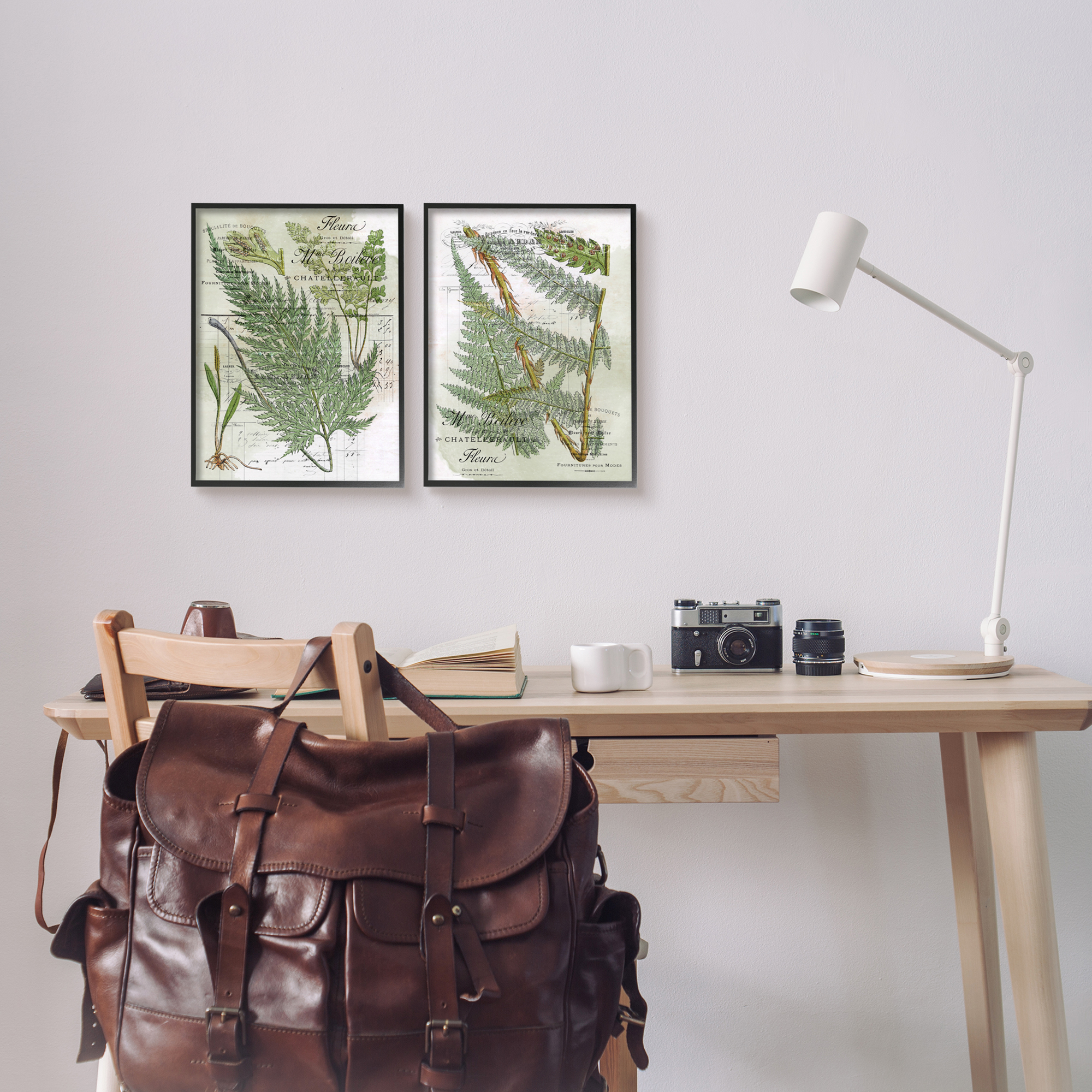 Stupell Woodland Fern Botanical Latin Study Botanical & Floral Painting Black Framed Art Print Wall Art, Set of 2