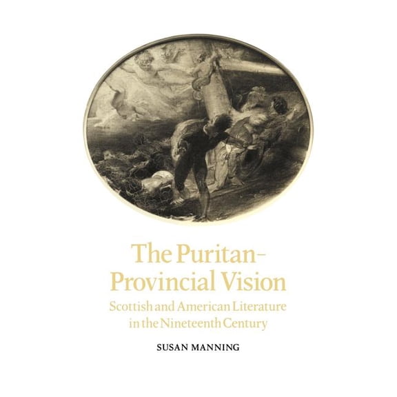 Cambridge Studies in American Literature The Puritan-Provincial Vision, Book 41, (Hardcover)