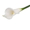 thumbnail image 1 of Artificial SNAIL GARDEN Latex Calla Lily Bundle with Green Leaves, 1 of 12