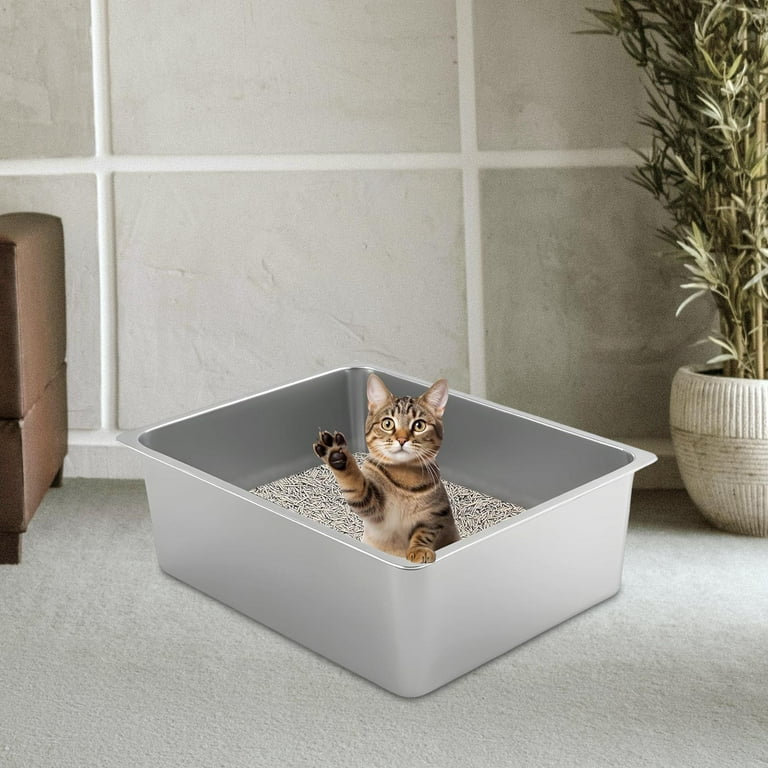 Cat litter sand online online