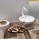 thumbnail image 2 of Dispensador Automático De Agua Para Perros Y Gatos Con Cuello De Cisne Para Mascotas Advancent PT002418-02, 2 of 6