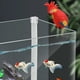 thumbnail image 4 of Figura de loro para acuario, estatuilla de resina, adorno para pecera, colgante para paisajismo. Rojo, 4 of 7