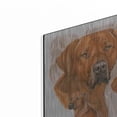 thumbnail image 2 of Luxe Metal Art 'Rhodisian Ridgeback' by Barbara Keith, Metal Wall Art, 24"x24", 2 of 8