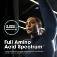thumbnail image 5 of Optimum Nutrition, Superior Amino Full Amino Acid Spectrum, 320 Tablets, 5 of 9