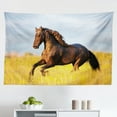 thumbnail image 1 of Horses Tapestry, Bay Horse Pacing on The Grass Energetic Noble Character of The Nature Concept, Fabric Wall Hanging Decor for Bedroom Living Room Dorm, 2 Sizes, Blue Green Brown, by Ambesonne, 1 of 1