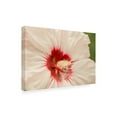 thumbnail image 4 of Canvas Wall Art - Life BeautifuLEE 'Up Close White and Red 2' Wall Art for Living Room, Bedroom, or Office Décor by Trademark Fine Art - 24 x 16 Inches, 4 of 4