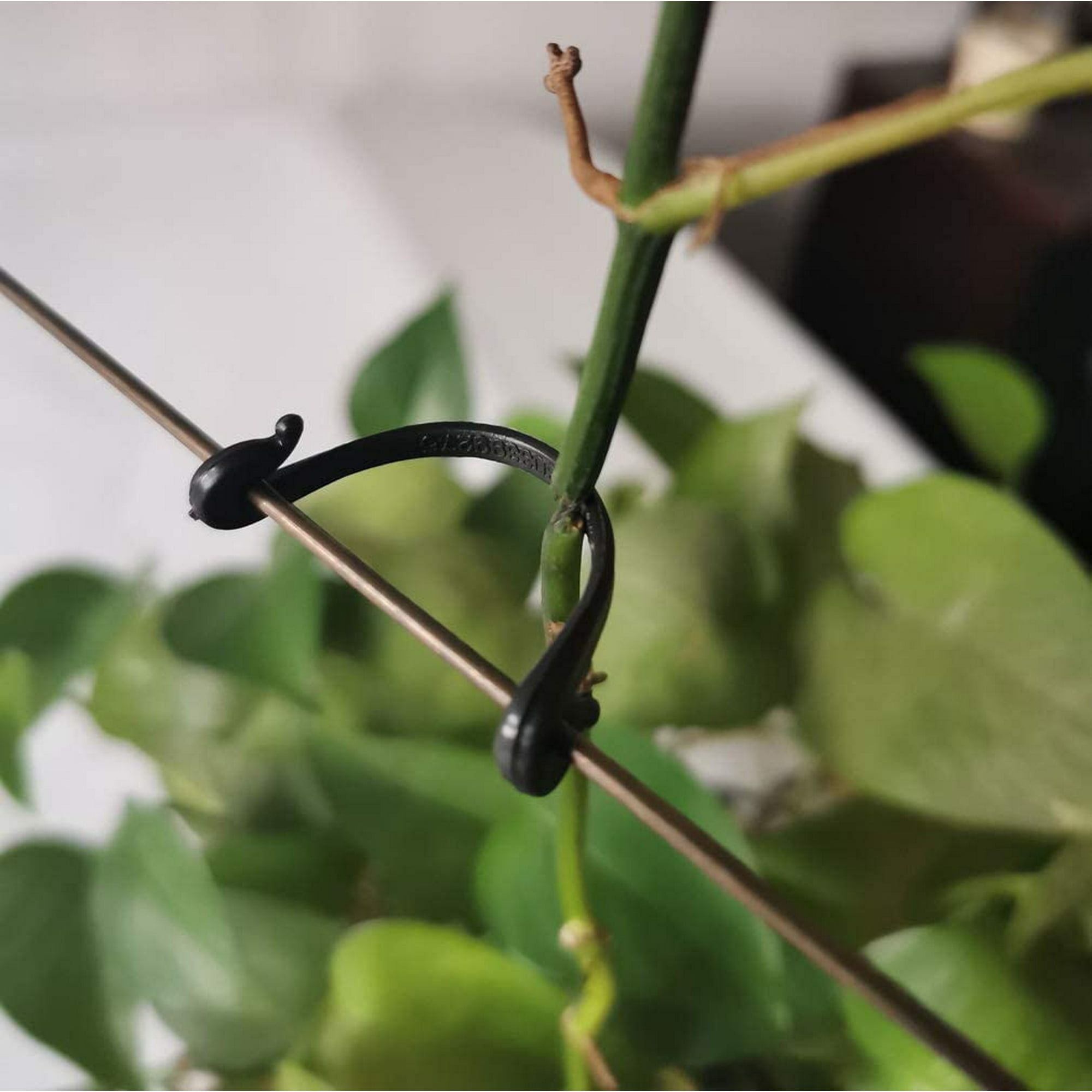 200 Pièces Pince à Plante En Forme De Fleur Orchidée Tiges Fixation Support Clips Outil De Jardin Accessoires Vert 88848338