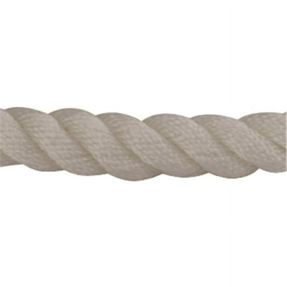 301110020WH-1 0.37 in. x 20 ft. Twisted Nylon Dock Line - White