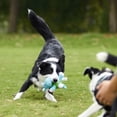 thumbnail image 3 of Juguete para perros de peluche, juguetes interactivos para perros de peluche para el aburrimiento, lindos juguetes para masticar perros chirriantes para cachorros, razas pequeñas, medianas y grandes Adepaton 2034749-2, 3 of 9