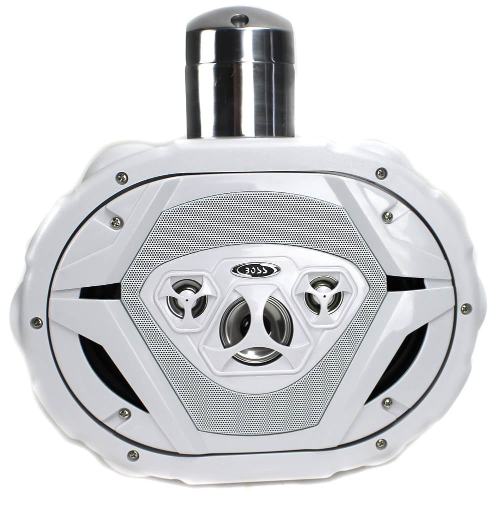 2) Boss MRWT69W 6x9\