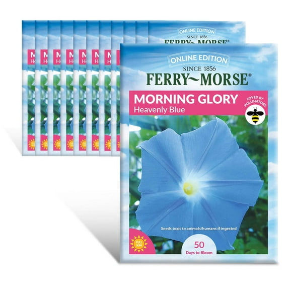 Ferry-Morse Online Edition Morning Glory Heavenly Blue Seed Bundle- 12 Pack