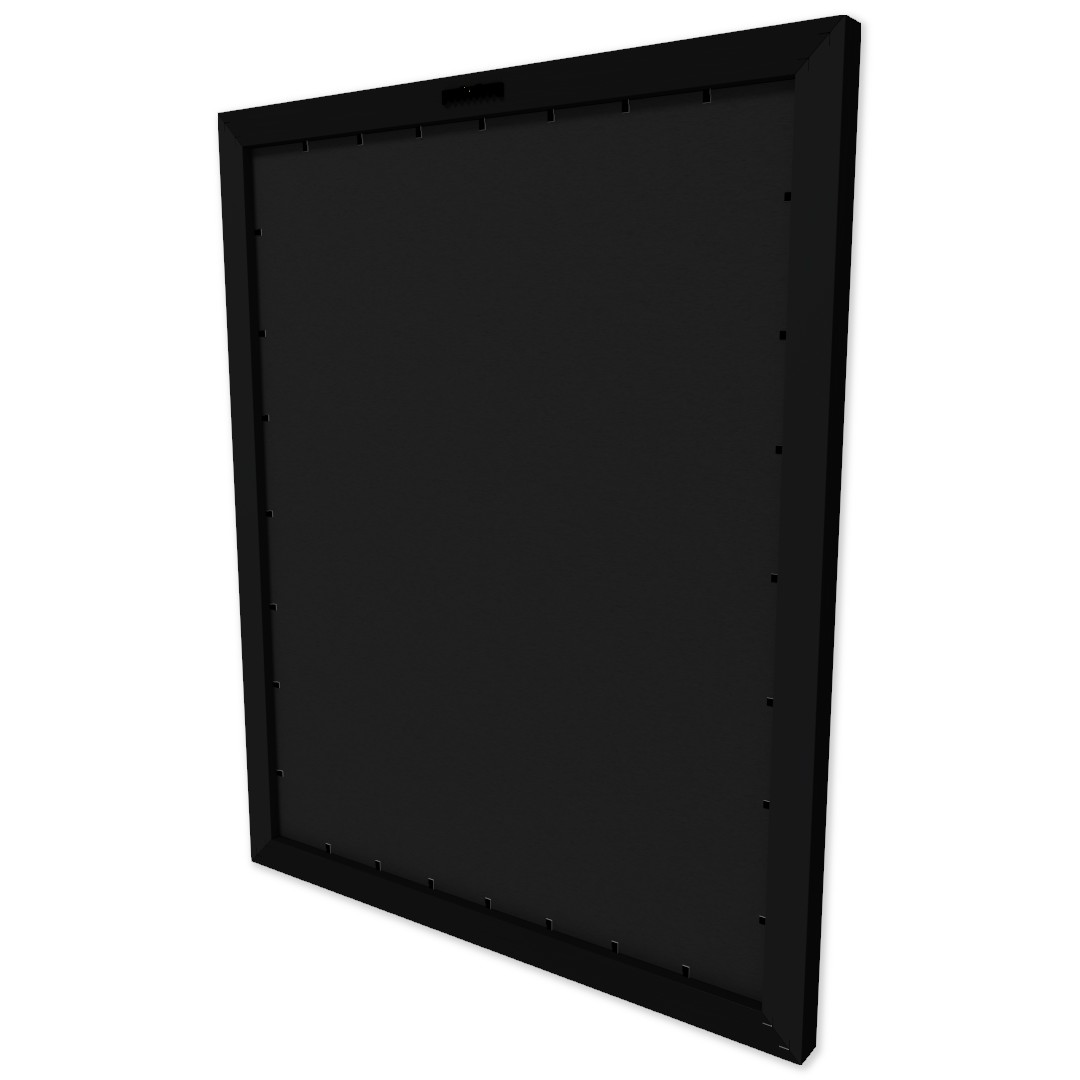16x20 Photo Print in 16x20 Frame
