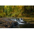 thumbnail image 2 of Jaynes Gallery 14x11 Gold Ornate Wood Framed with Double Matting Museum Art Print Titled - USA-Oregon-Silver Falls State Park Waterfalls and forest in autumn, 2 of 4