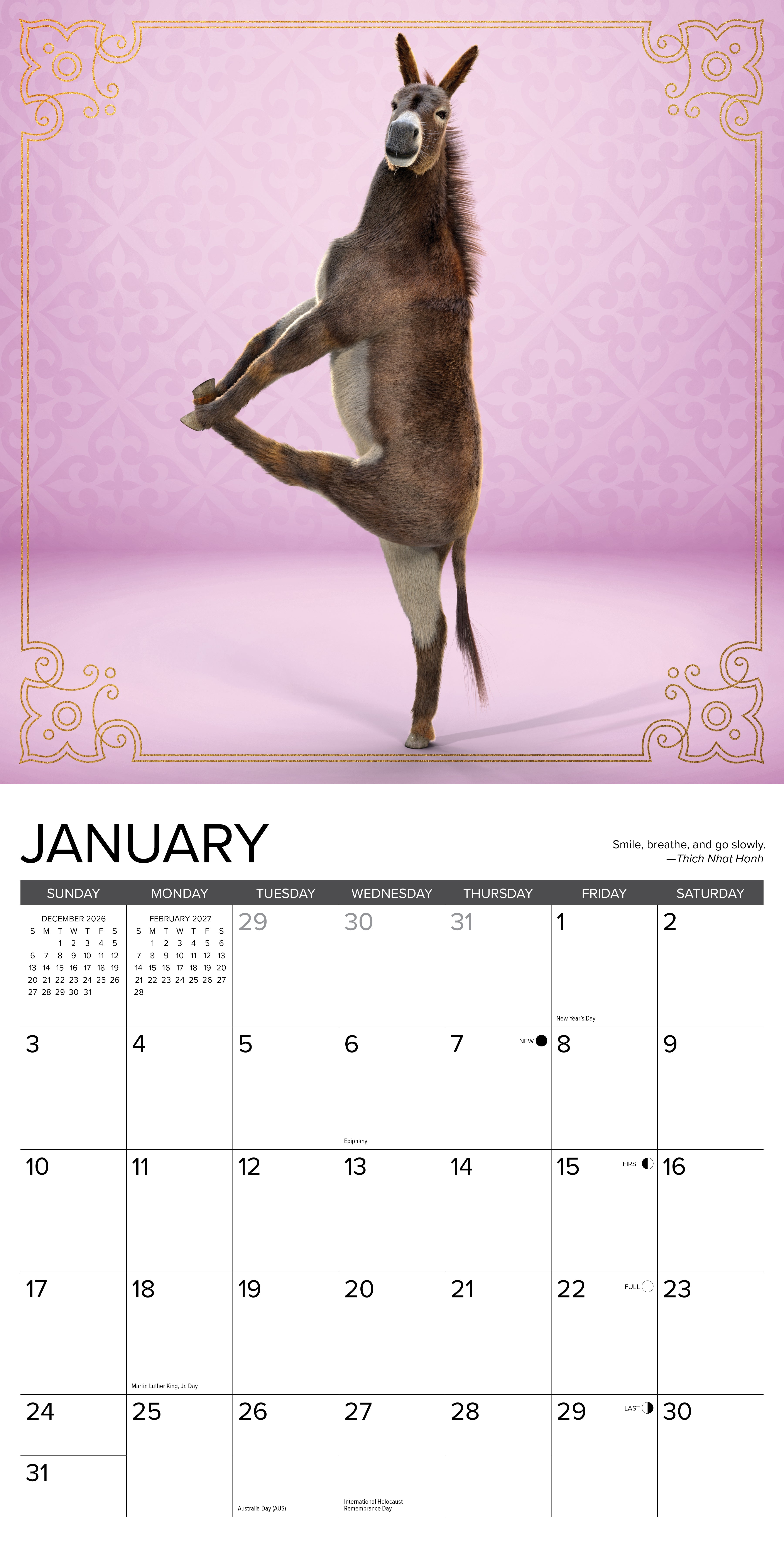 Willow Creek Press, Jackass Yoga 2027 Wall Calendar
