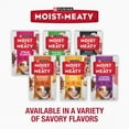 Purina Moist and Meaty Rise and Shine Awaken Bacon and Egg Flavor Soft Dog Food High Protein