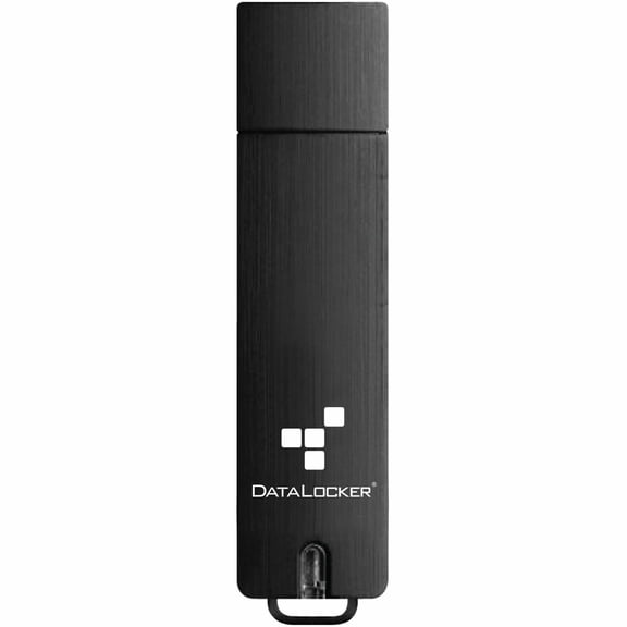 DataLocker Sentry 5 256GB USB 3.2 Gen 1 Type A Flash Drive S5256FEM