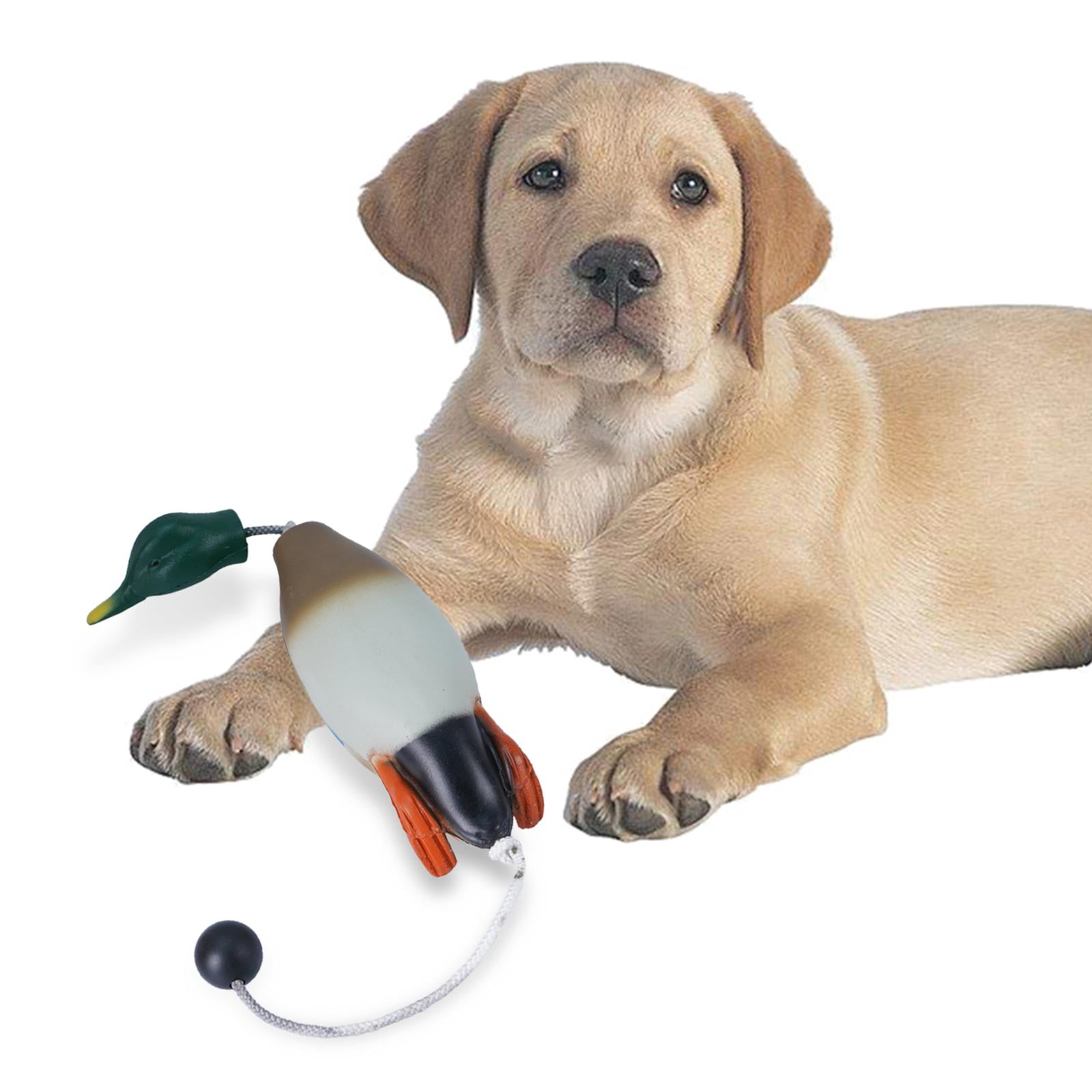 Bvdfgk Dog Chew Toy Mallard Duck Relaxing Durable Biting Toys Molar Biting Toy Exercise