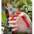 thumbnail image 4 of Professional Straight Tip Gardening Scissors for Picking Fruit, Tree and Flowers, 20cm, Red, 4 of 5