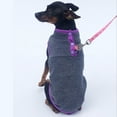 thumbnail image 5 of KMWGRE Cozy Solid Knit Pullover Sweater for Small Dogs Autumn Winter Soft Pet Apparel Grey XS, 5 of 7