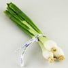 Image thumbnail_image