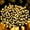 warmwhite, variant on EASTIN 65ft 200 LED Twinkle Christmas String Lights  Plug in Outdoor Indoor Fairy Lights for Christmas Tree  Patio  Garden  Party  Wedding Decorations(Warm White)