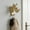 🔥 Gold_Hot#271, variant on Gold Animal Wall Hook | Decorative Plastic Sculpture Coat Hanger 6.5x6.3in | Modern Textured Key Holder for Living Room Entryway Bathroom Office Décor