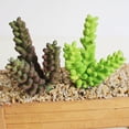 thumbnail image 3 of Follaje de planta suculenta artificial de plástico para decoración de jardín 103 1 14cm, 3 of 9