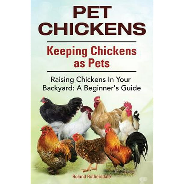 Pet Chickens. Keeping Chickens as Pets. Raising Chickens in Your
