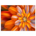 thumbnail image 1 of Designart Massive Orange Fractal Flower Canvas Wall Art, 1 of 4